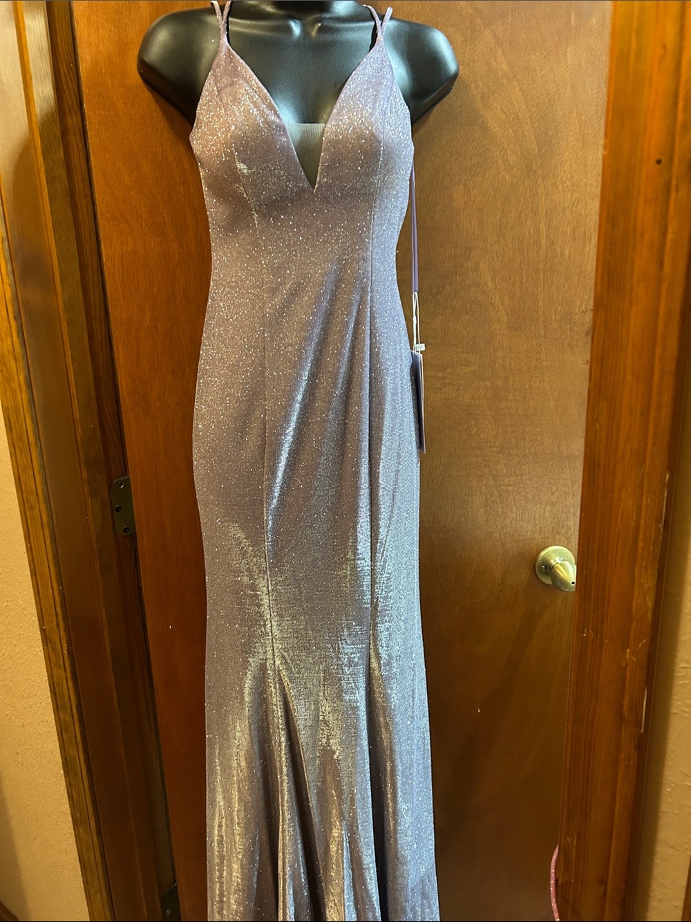 Sparkle V-Neck Lavender Special Occasion Gown